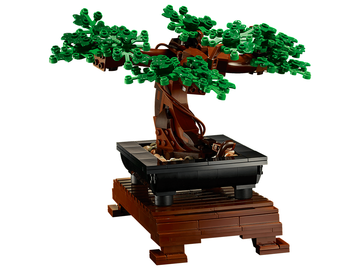 Blossom Bonsai Tree Display Set