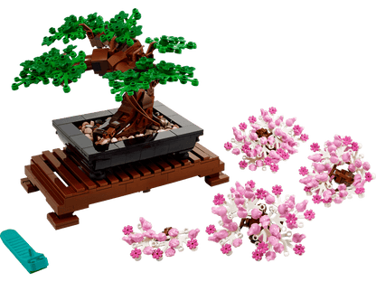 Blossom Bonsai Tree Display Set