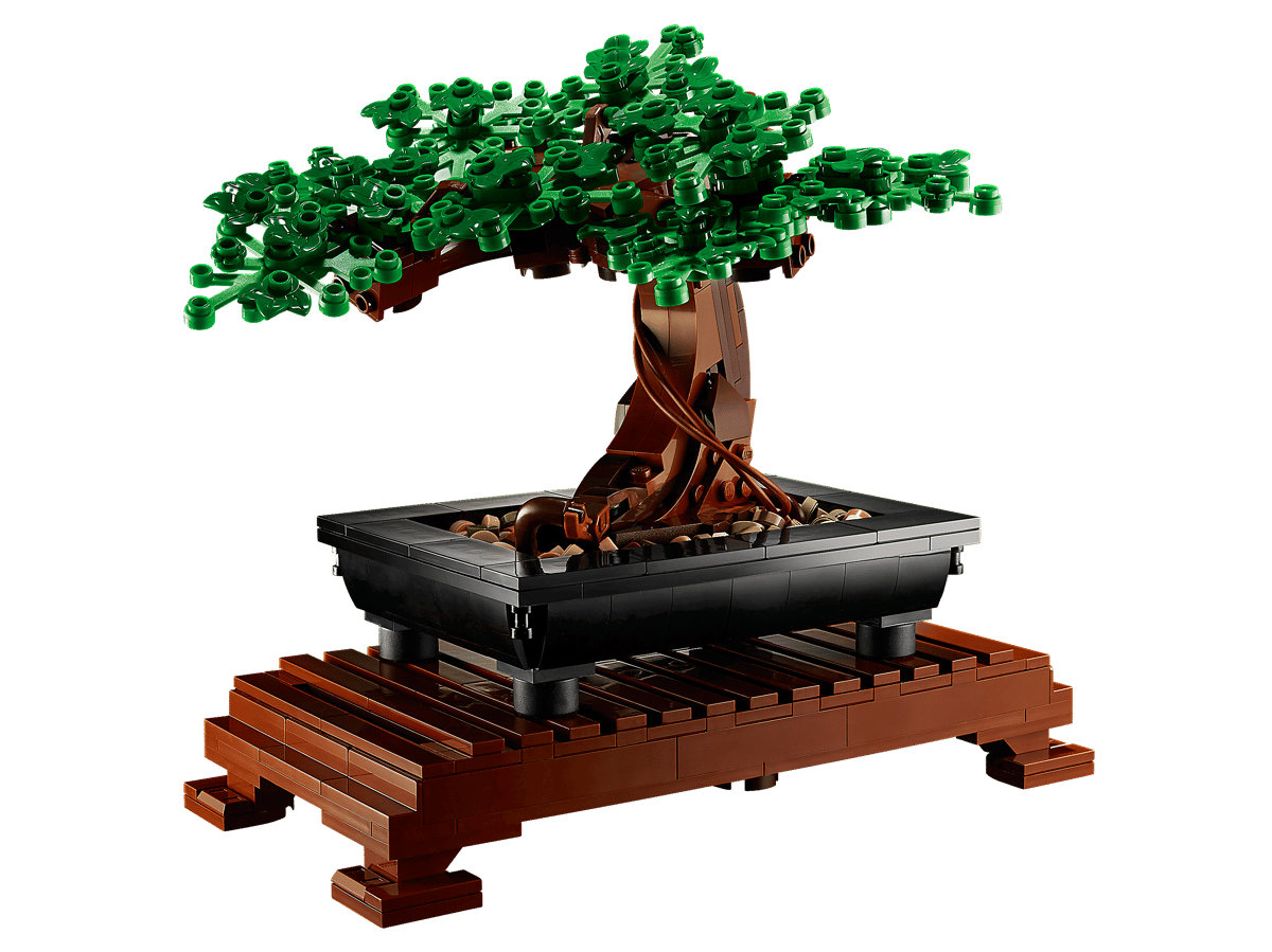 Blossom Bonsai Tree Display Set