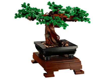 Blossom Bonsai Tree Display Set