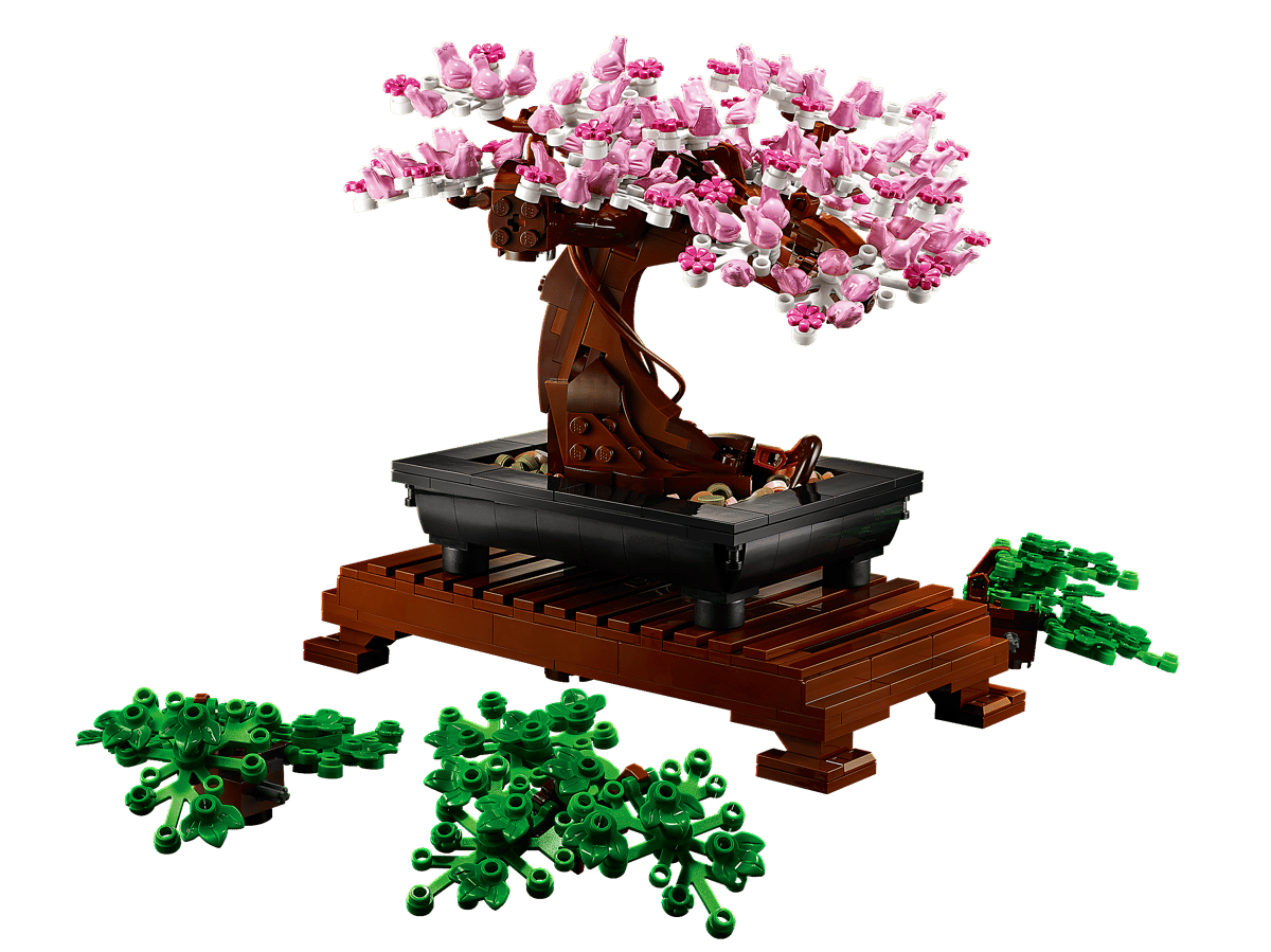 Blossom Bonsai Tree Display Set