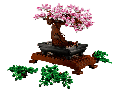 Blossom Bonsai Tree Display Set