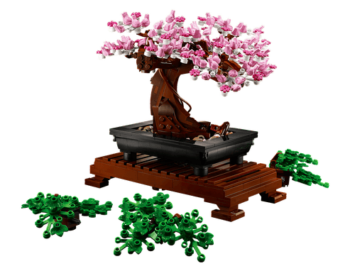 Blossom Bonsai Tree Display Set
